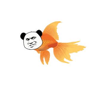 DƬ